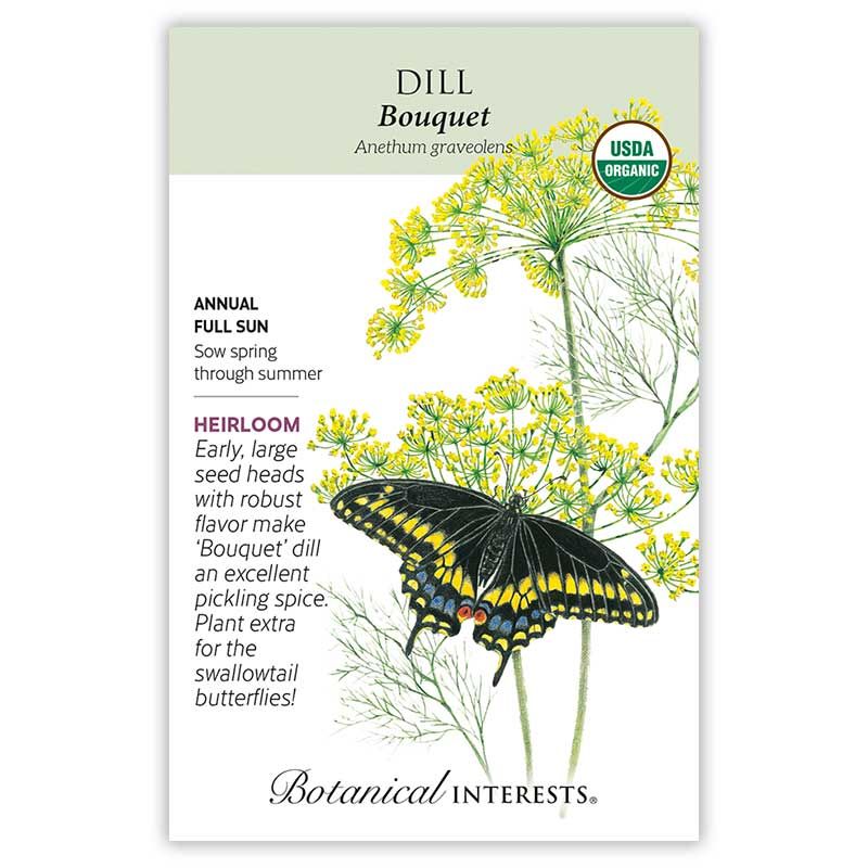 Seed Herb Dill Bouquet Organic Heirloom - Anethum graveolens