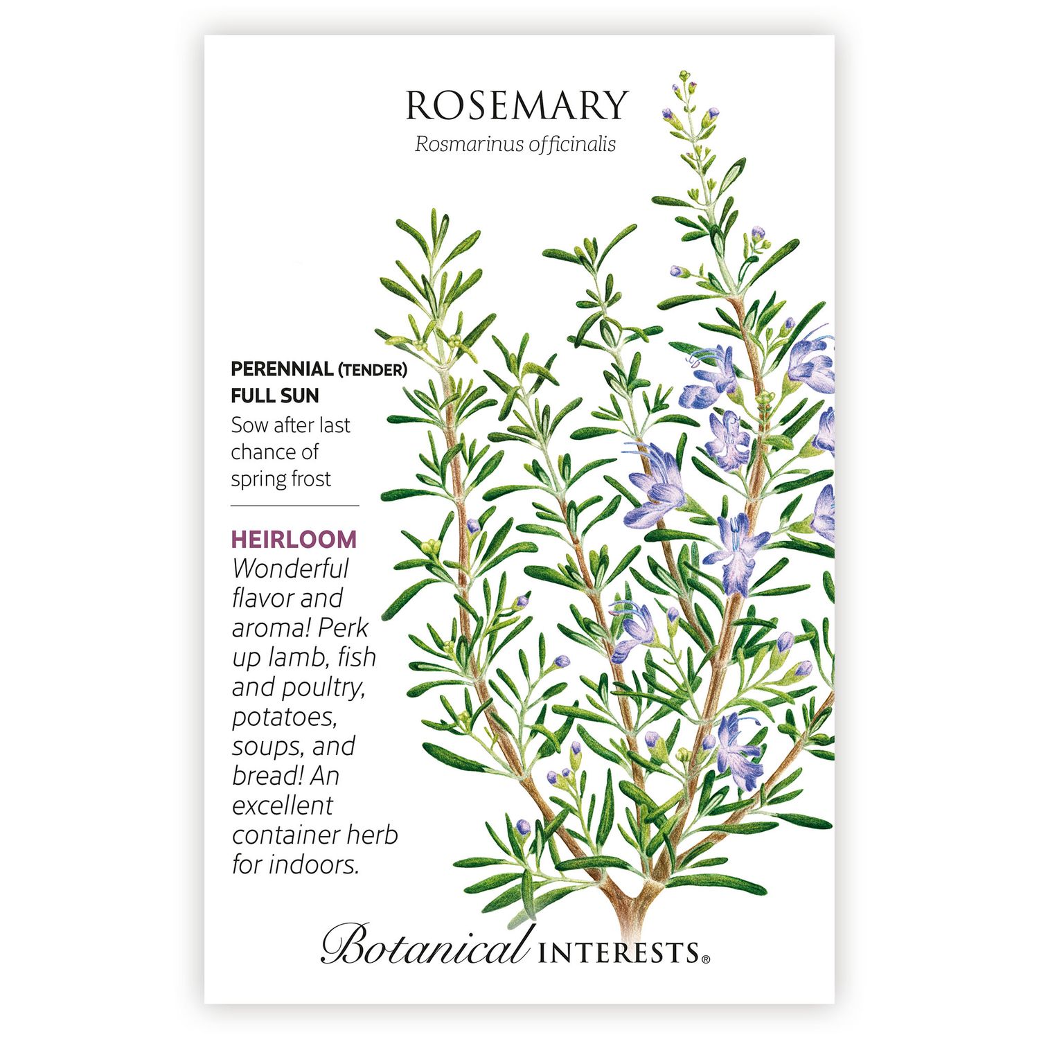 Seed Herb Rosemary Heirloom - Rosmarinus officinalis