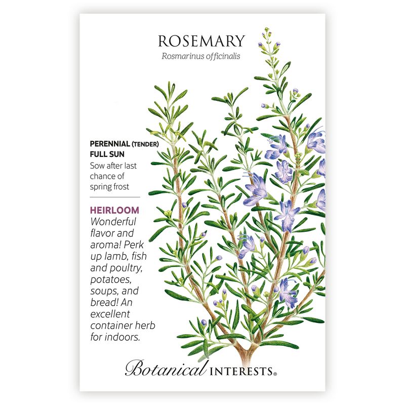 Seed Herb Rosemary Heirloom - Rosmarinus officinalis