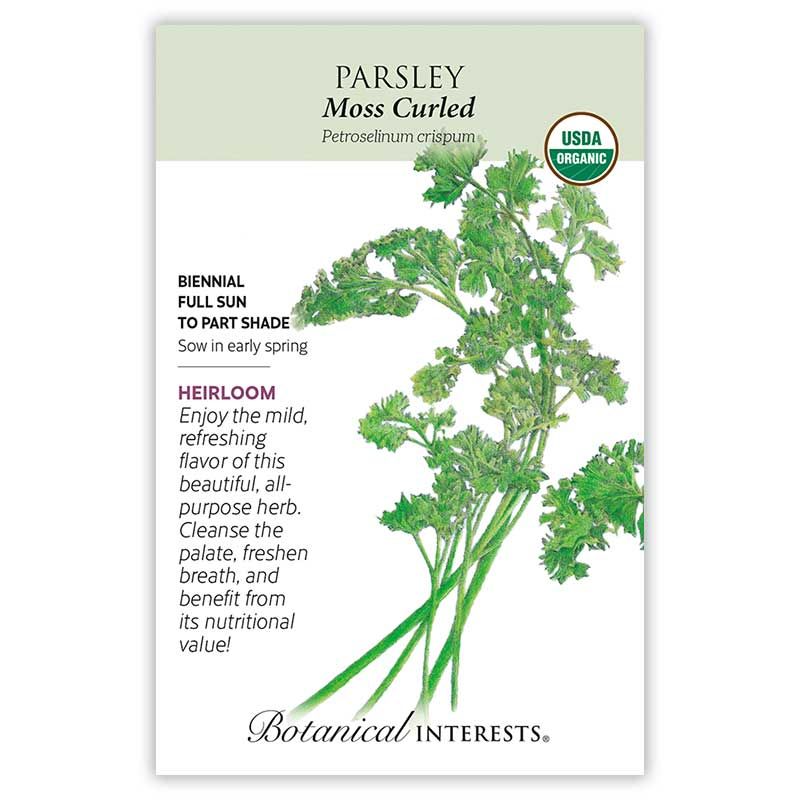 Seed Herb Parsley Moss Curled Organic Heirloom - Petroseelinum crispum