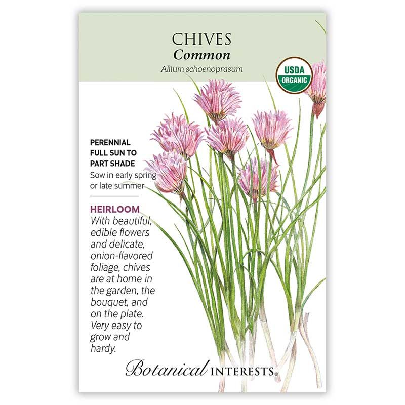 Seed Herb Chives Common Organic Heirloom - Allium schoenoprasum