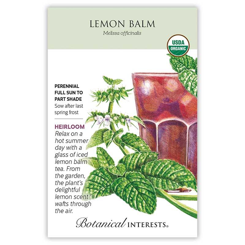 Seed Herb Lemon Balm Organic Heirloom - Melissa officinalis