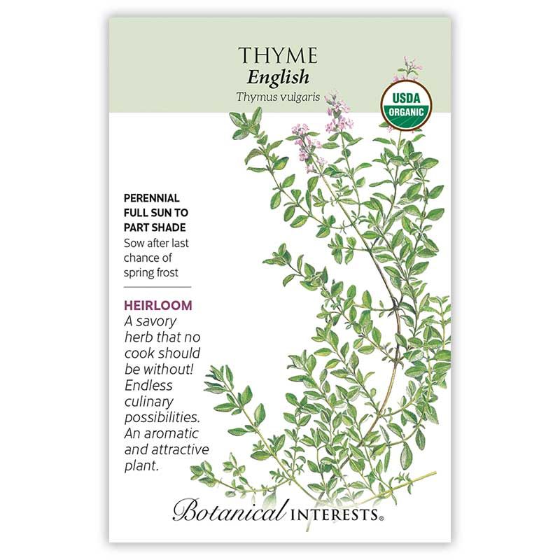 Seed Herb Thyme English Organic Heirloom - Thymus vulgaris