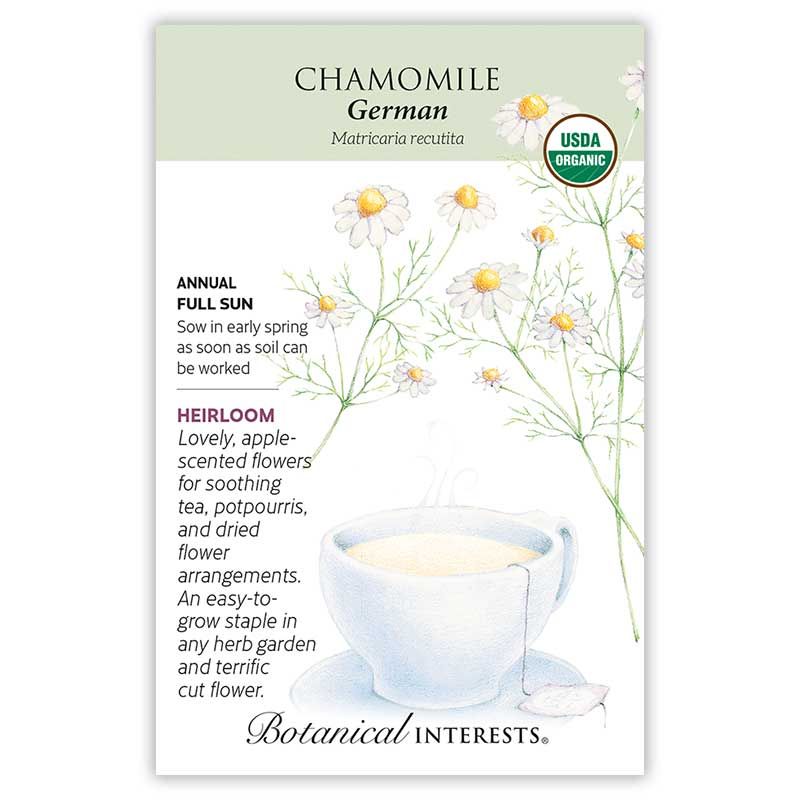 Seed Herb Chamomile German Organic Heirloom - Anthriscus cerefolium