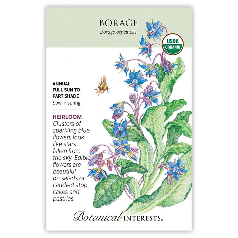 Seed Herb Borage Organic Heirloom - Borago officinalis