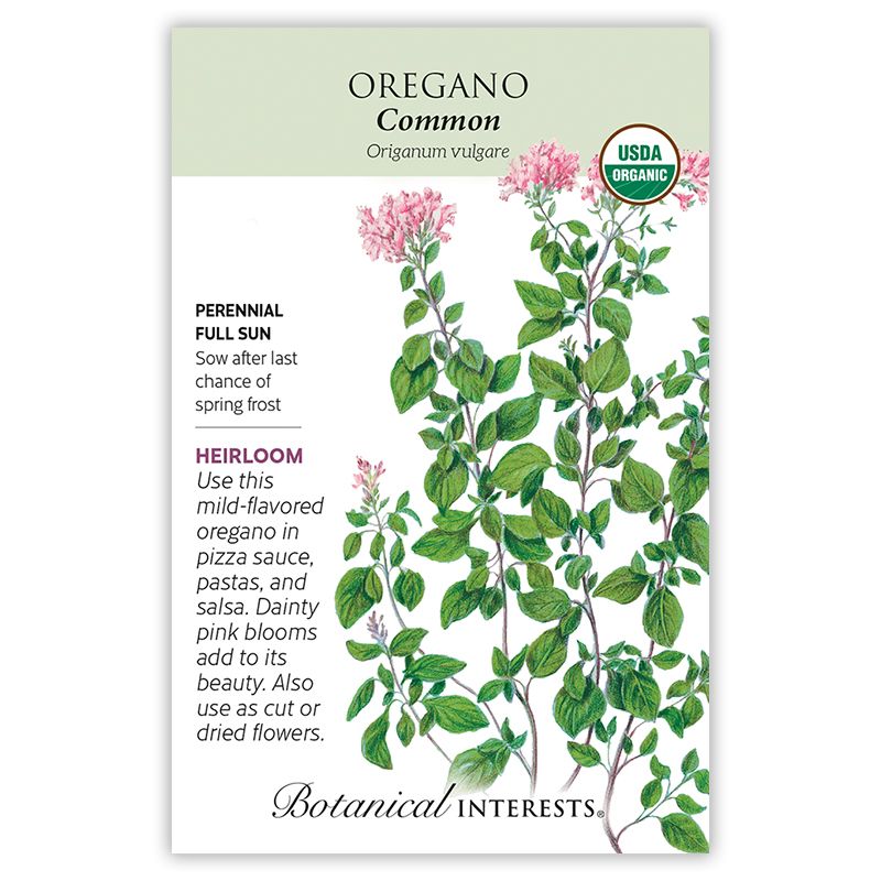 Seed Herb Oregano Common Organic Heirloom - Origanum vulgare