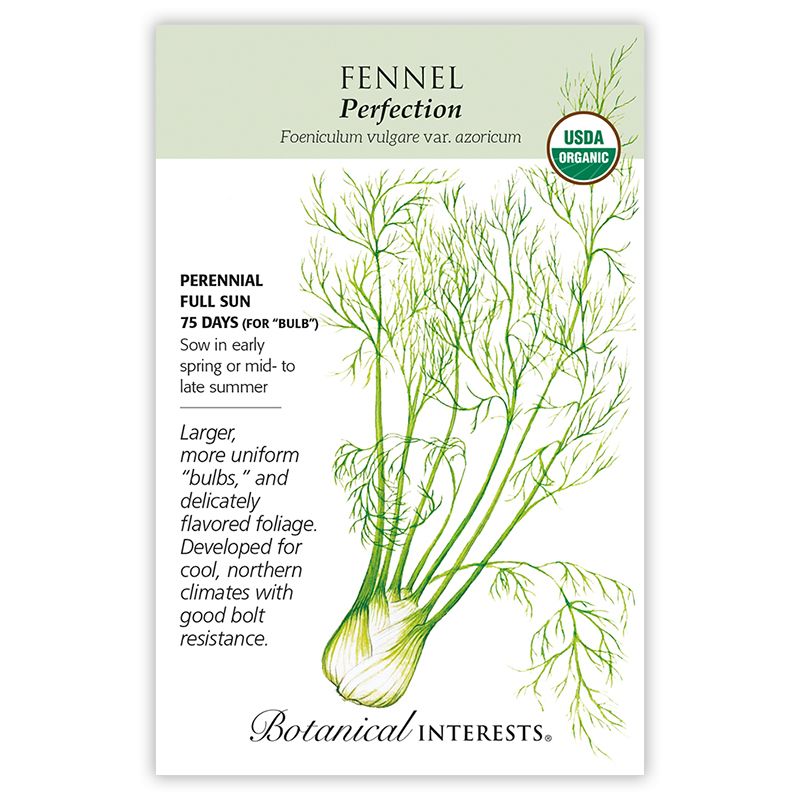 Seed Herb Fennel Romanesco Organic - Foeniculum vul