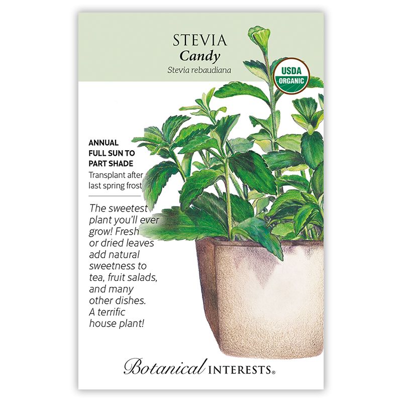 Seed Herb Stevia Candy Organic - Stevia rebaudiana