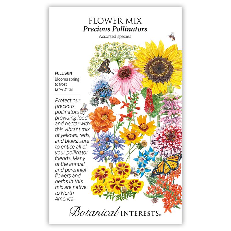 Seed Flower Mix Precious Pollinators - Assorted species - Lrg Pkt