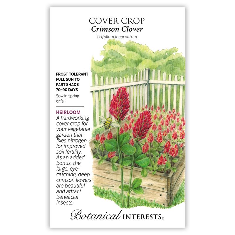 Seed Cover Crop Crimson Clover Heirloom - Trifolium incarnatum - Lrg Pkt