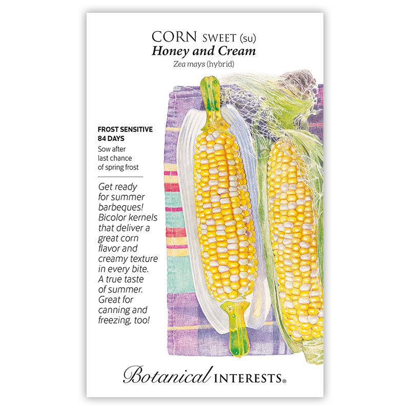 Seed Veg Corn Sweet Honey and Cream (Bicolor) - Zea mays (hybrid) - Lrg Pkt