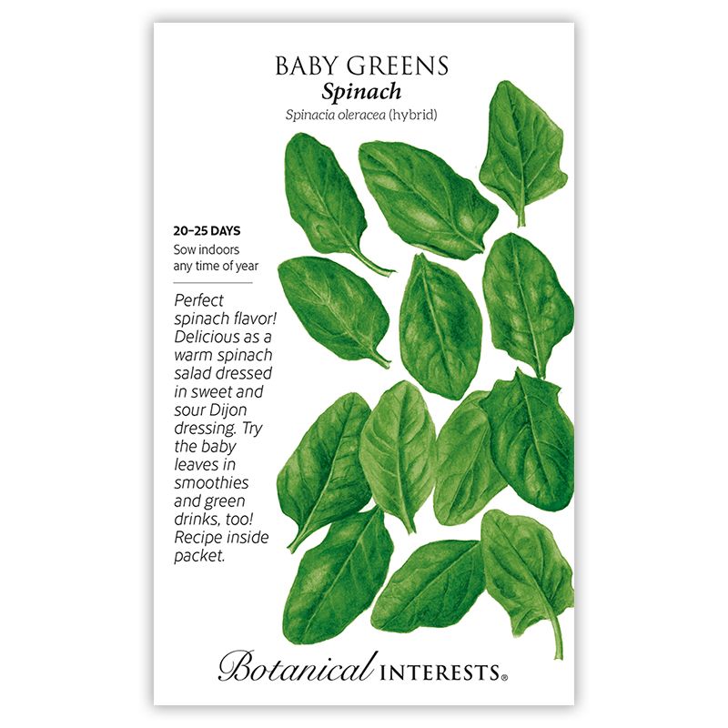 Seed Veg Baby Greens Spinach - Spinacea oleracea (hybrid) - Lrg Pkt