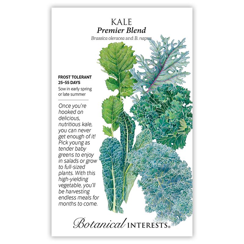 Seed Veg Kale Premier Blend - Brassica oleracea - Lrg Pkt
