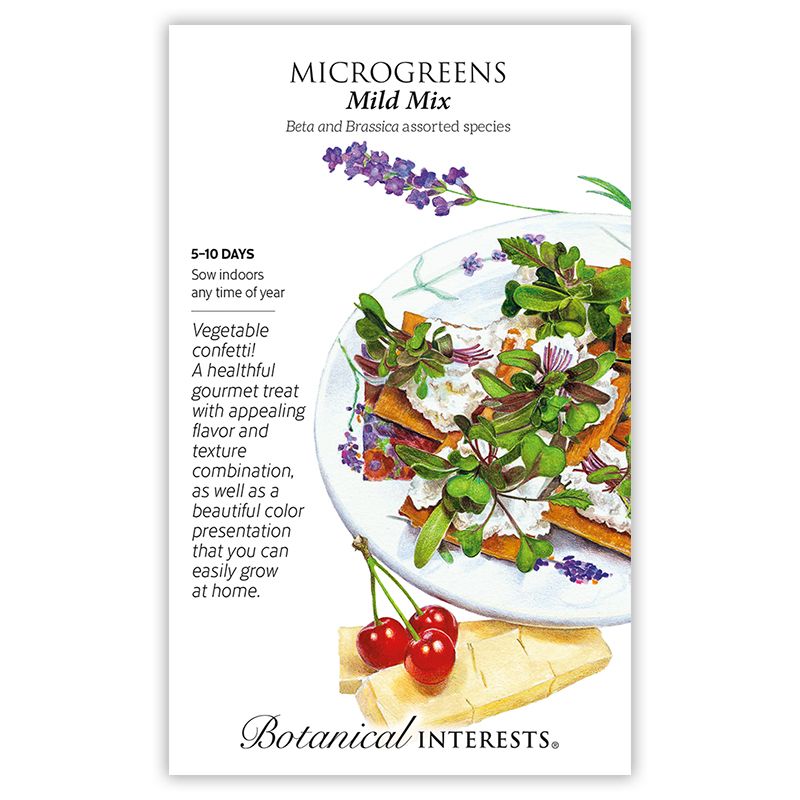 Seed Veg Microgreens Mild Mix - Brassica asst - Lrg Pkt
