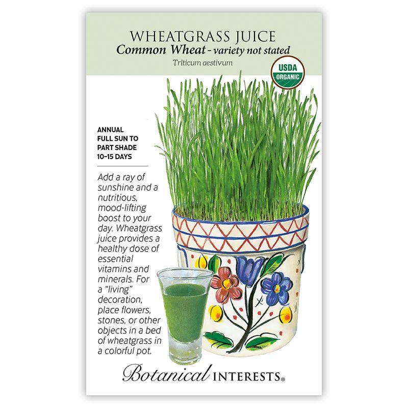 Seed Veg Wheatgrass Juice Organic Heirloom - Triticum aestivum - Lrg Pkt