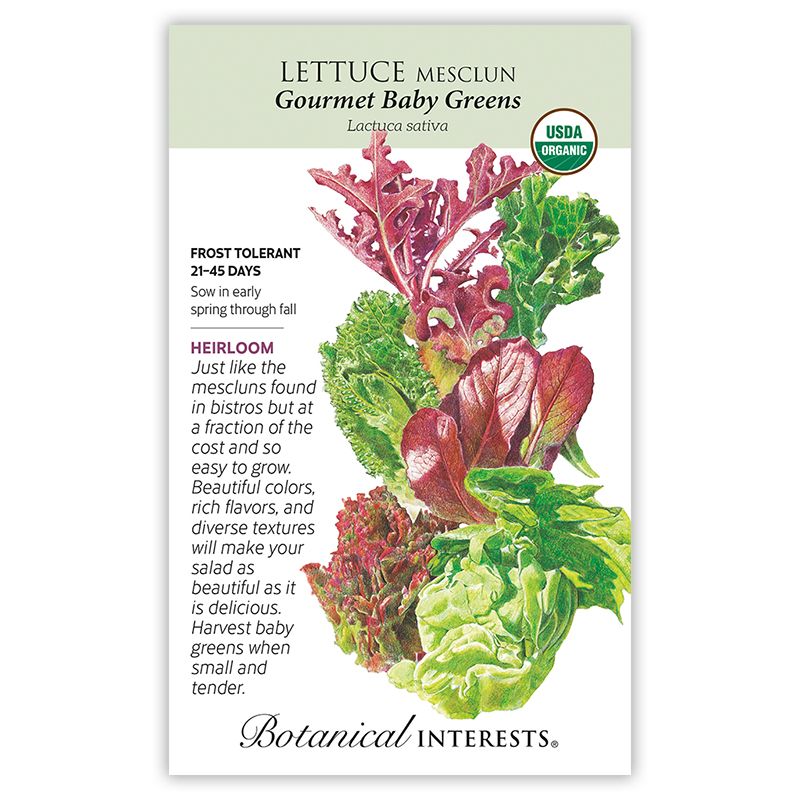 Seed Veg Lettuce Mesclun Gourmet Baby Greens Organic Heirloom - Lactuca sativa - Lrg Pkt