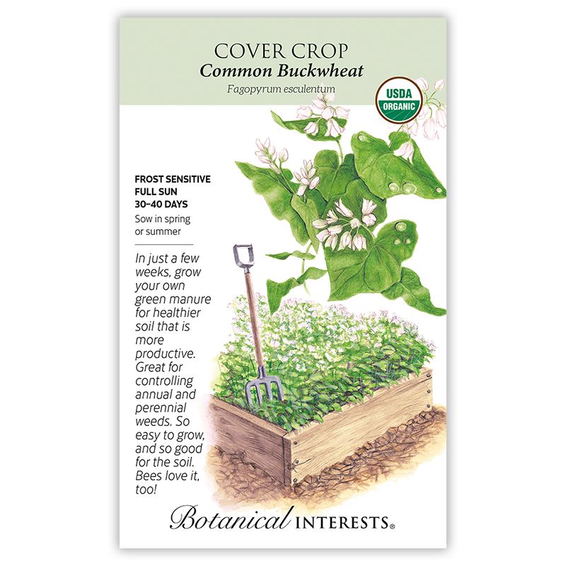 Seed Cover Crop Common Buckwheat Organic - Lrg Pkt