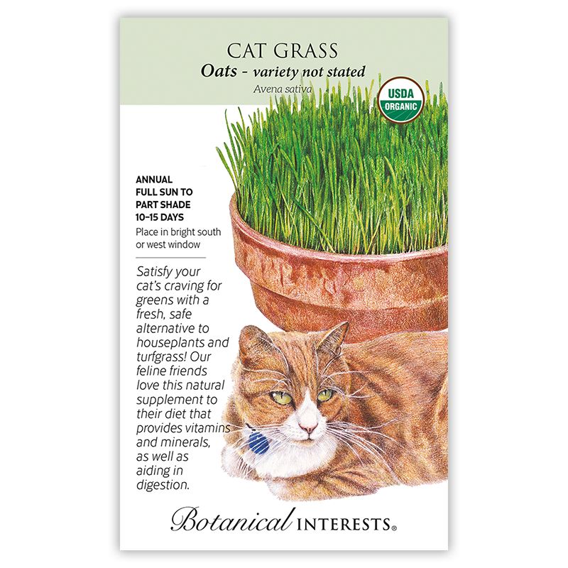 Seed Herb Cat Grass Oats Organic - Avena sativa - Lrg Pkt
