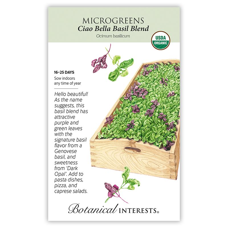 Seed Veg Microgreens Basil Ciao Bella Blend Organic - Ocimum basilicum - Lrg Pkt