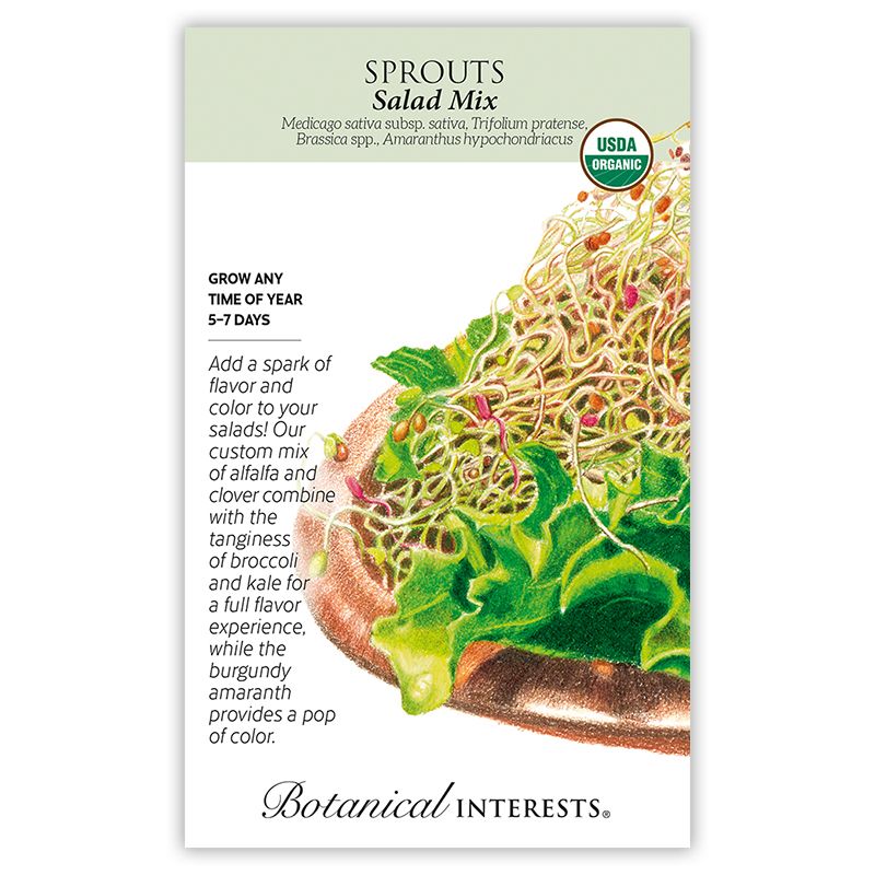 Seed Veg Sprouts Salad Mix Organic - Assorted species - Lrg Pkt
