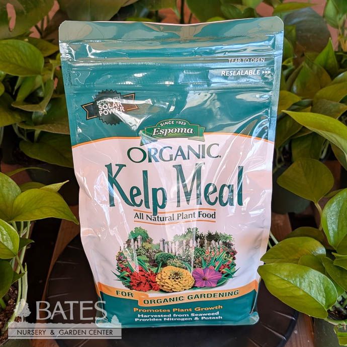 4 Lb Kelp Meal Fertilizer 1-0-2 Espoma Organic