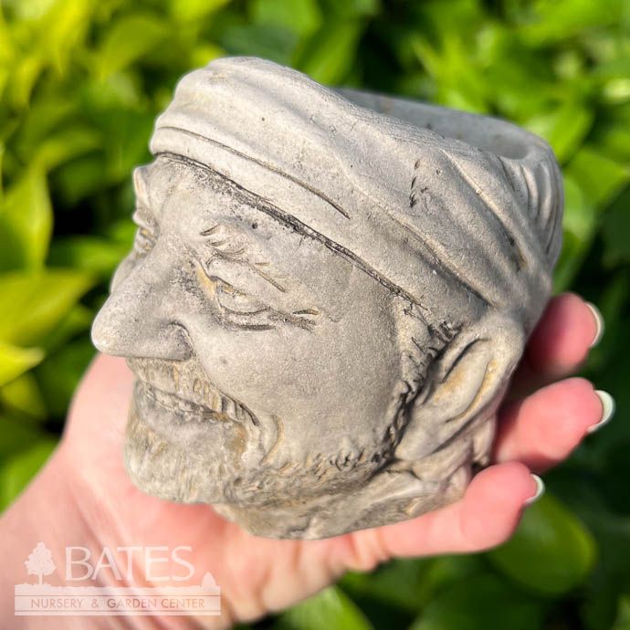 Pot Head Willie Planter 4&quot; Concrete Flat Earth Designs
