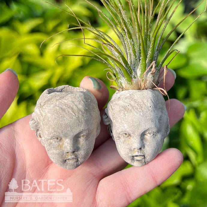 Pot Mini Head Planter 1&quot; Concrete Flat Earth Designs