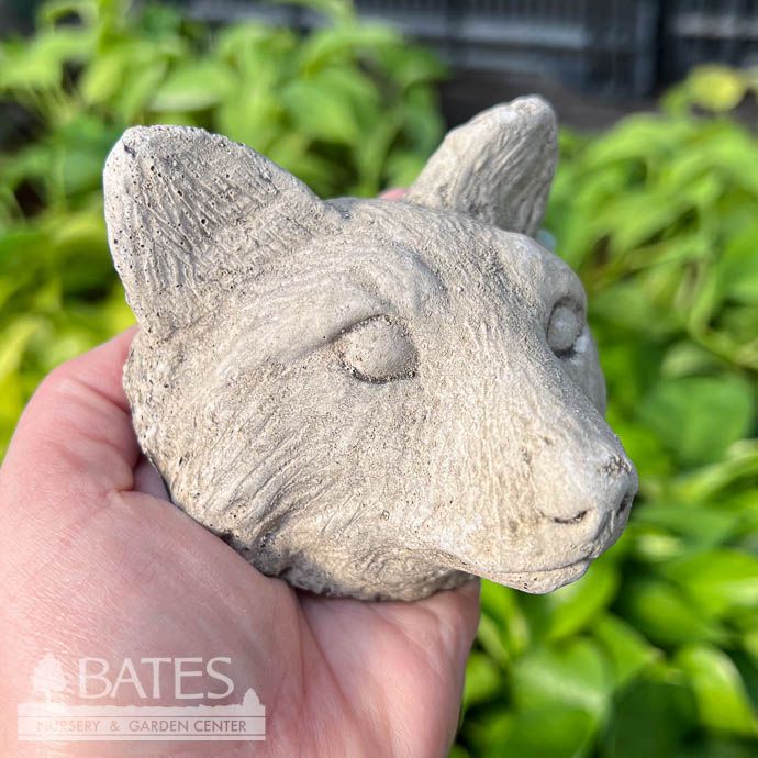 Plaque Asst Designs Fox/Rab/Bat/Med 4&quot; Concrete Flat Earth Designs