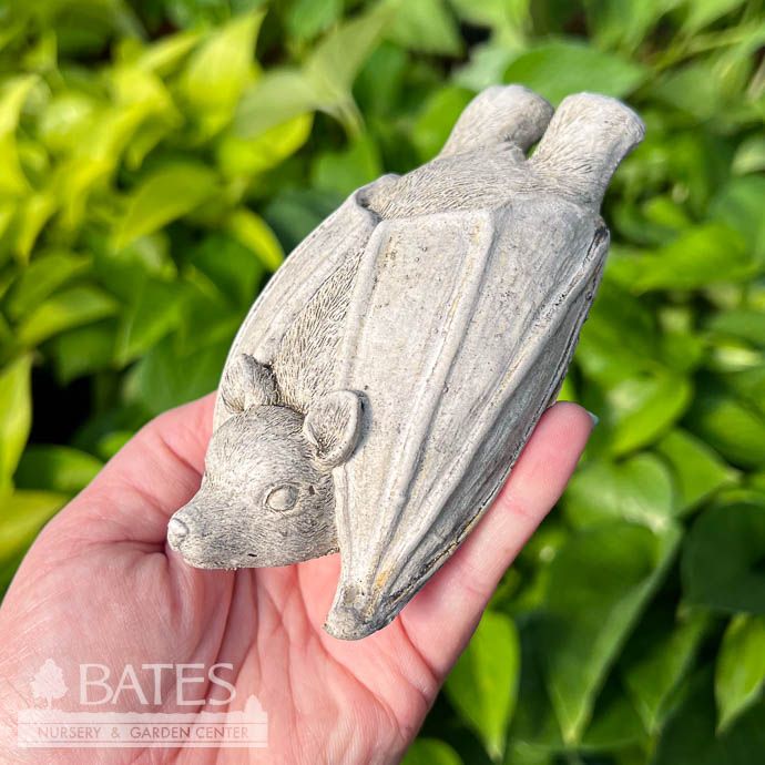 Plaque Asst Designs Fox/Rab/Bat/Med 4&quot; Concrete Flat Earth Designs