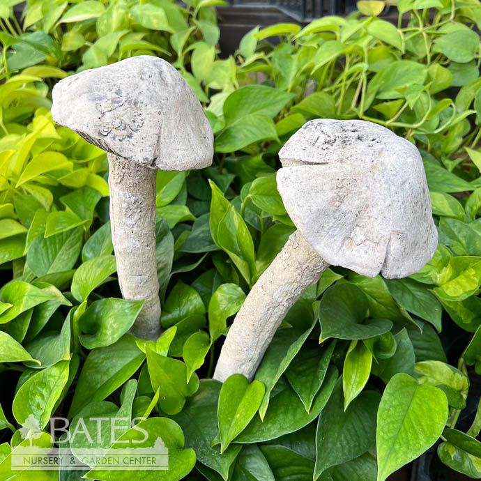 Stake Mushroom Lrg 11&quot; Concrete Flat Earth Designs