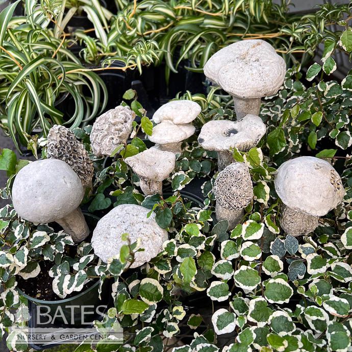 Stake Mushroom Sml 3-6&quot; Concrete Flat Earth Designs
