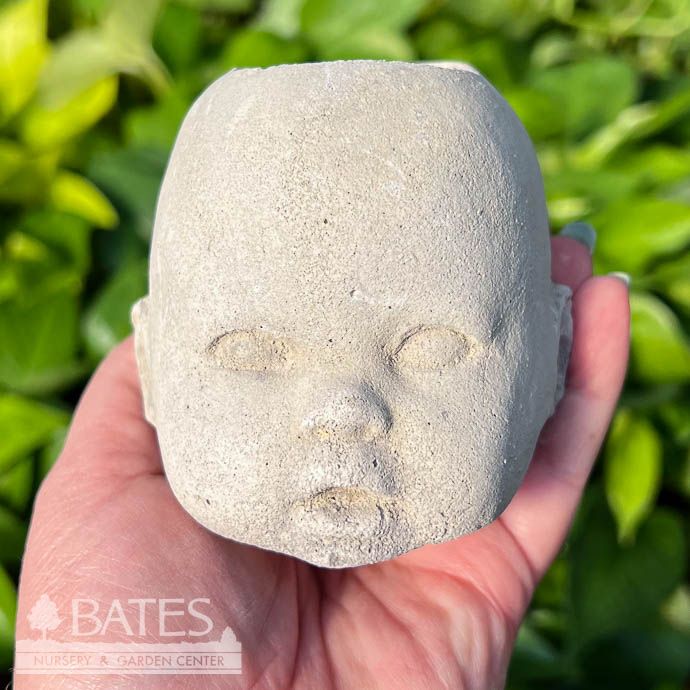 Pot Head Planter Sml 3&quot; Concrete Flat Earth Designs