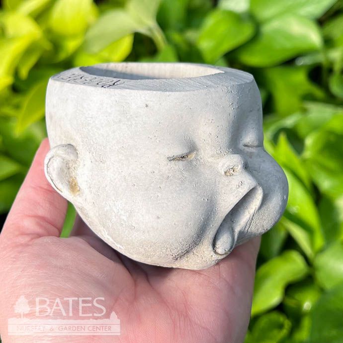 Pot Head Planter Sml 3&quot; Concrete Flat Earth Designs