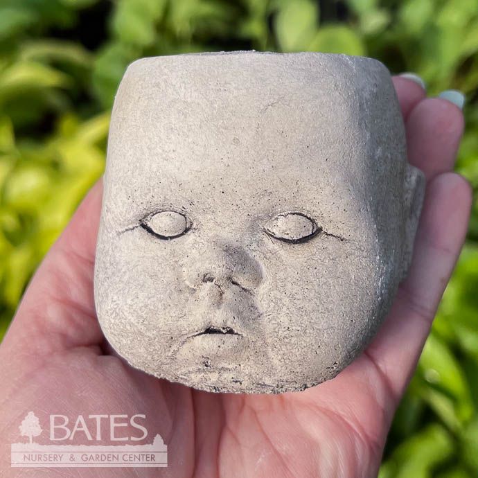 Pot Head Planter Sml 3&quot; Concrete Flat Earth Designs