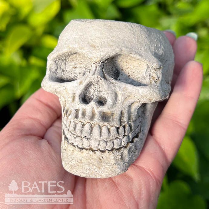 Pot Head Planter Sml 3&quot; Concrete Flat Earth Designs