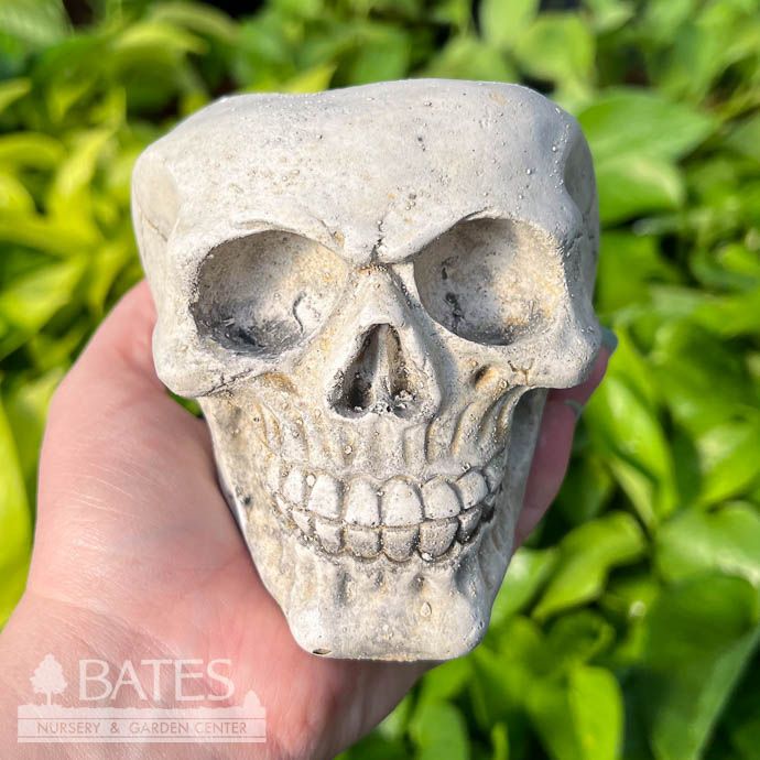 Pot Head Planter Sml 3&quot; Concrete Flat Earth Designs