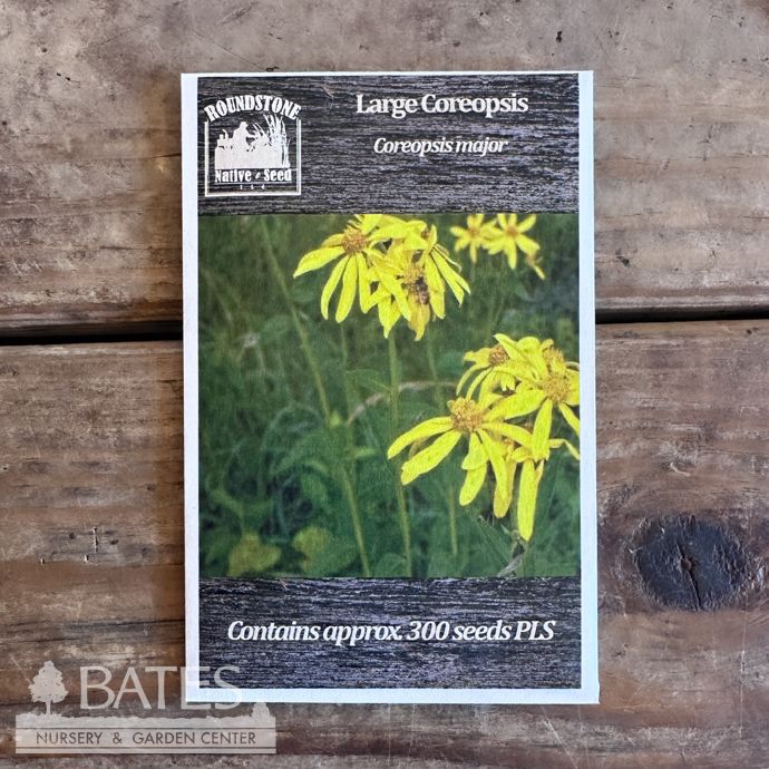 Seed Coreopsis major/ Large Coreopsis - Roundstone Native (TN)