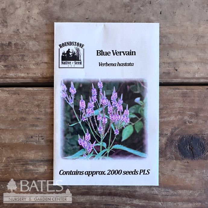 Seed Verbena hastata/ Blue Vervain - Roundstone Native (TN)