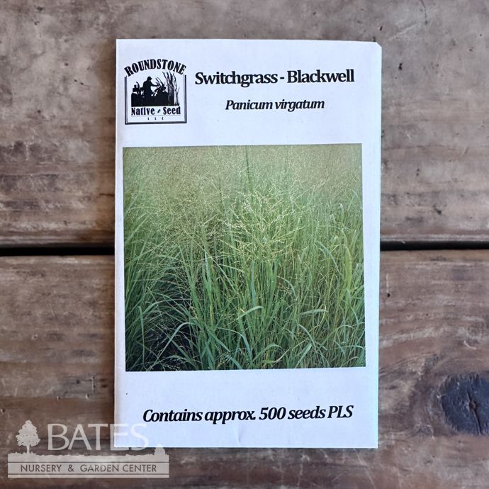 Seed Panicum virgatum/ Blackwell Switchgrass - Roundstone Native (TN)
