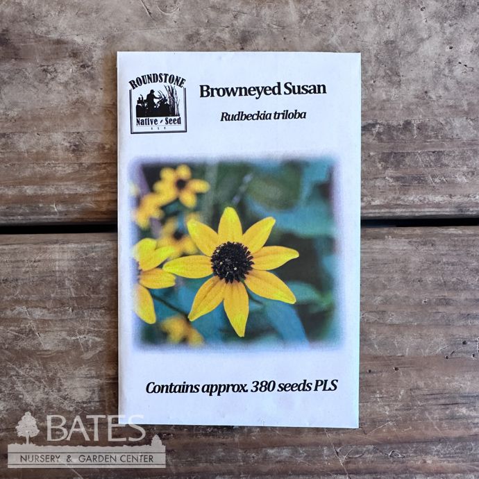 Seed Rudbeckia triloba/ Browneyed Susan - Roundstone Native (TN)