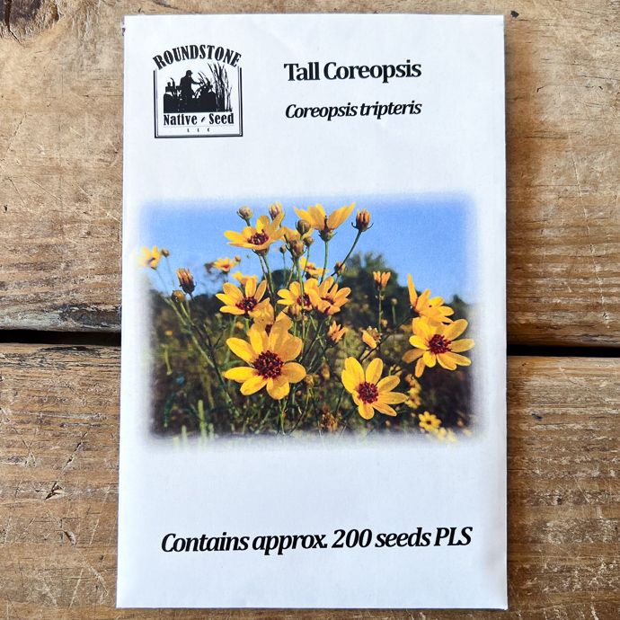 Seed Coreopsis tripteris/ Tall Coreopsis - Roundstone Native (TN)