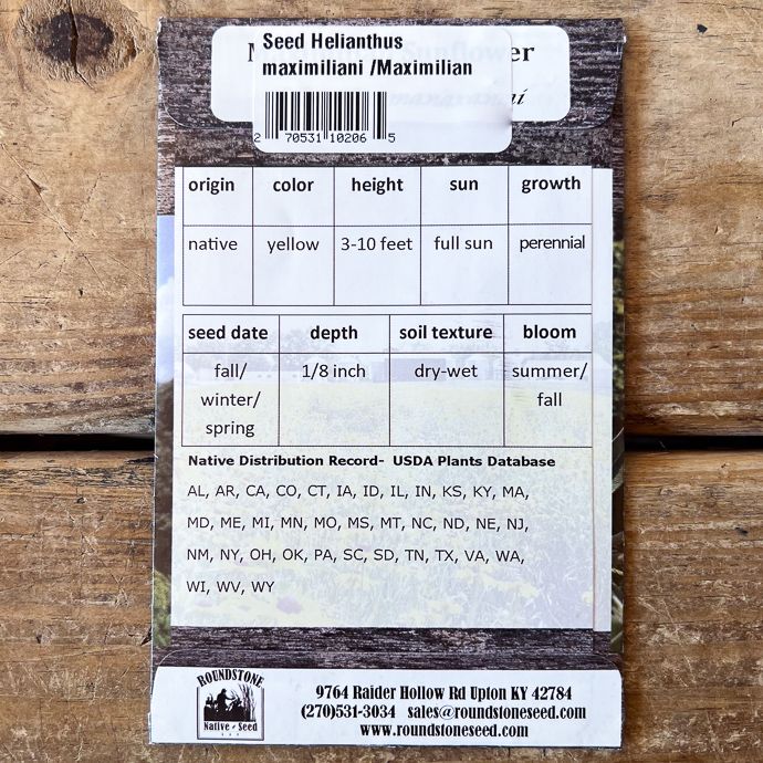 Seed Helianthus maximiliani/ Maximilian Sunflower - Roundstone Native (TN)