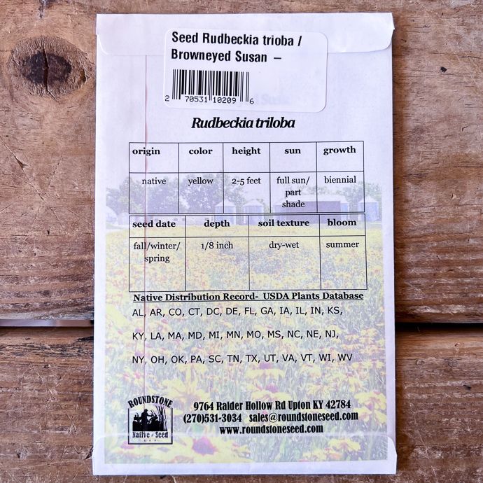 Seed Rudbeckia triloba/ Browneyed Susan - Roundstone Native (TN)