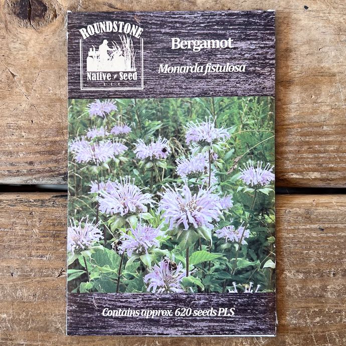 Seed Monarda fistulosa/ Bergamot - Roundstone Native (TN)