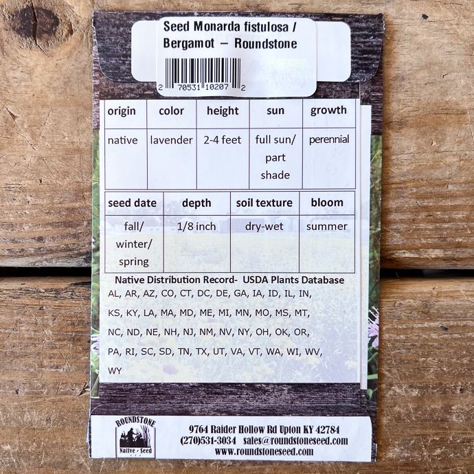 Seed Monarda fistulosa/ Bergamot - Roundstone Native (TN)