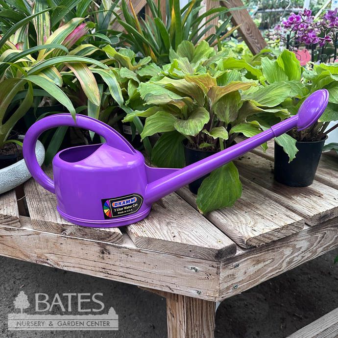 Dramm 2L Watering Can Purple