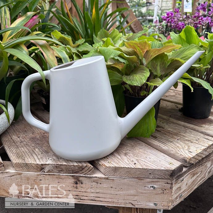 Watering Can 1Gal w/Long Sleek Spout Fern Grey Bloem