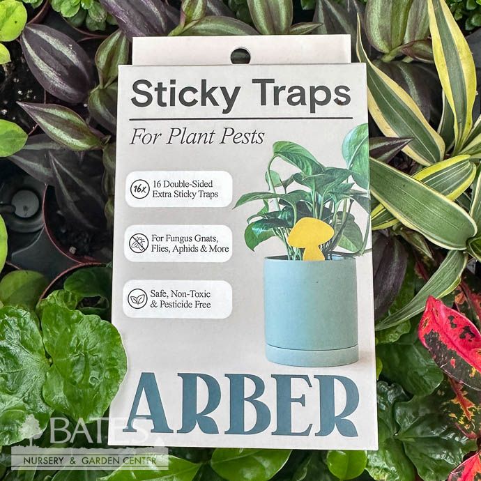 Arber Sticky Traps for Plant Pests 16/pk