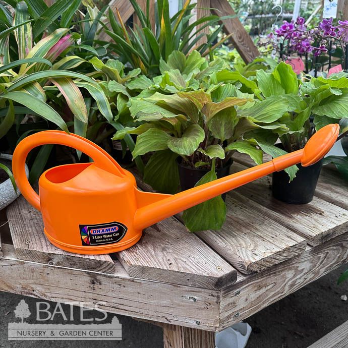 Dramm 2L Watering Can Orange