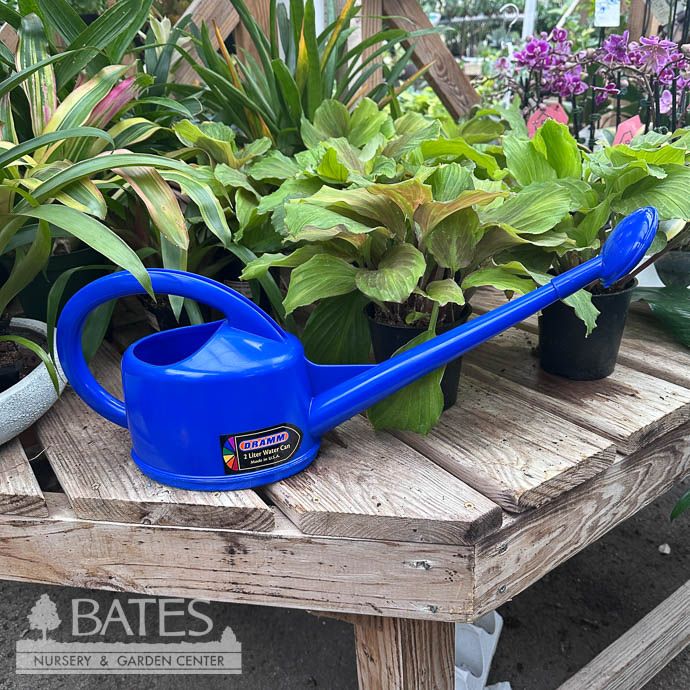 Dramm 2L Watering Can Blue